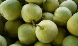 朝阳吃瓜网51 热门大瓜往期内容,朝阳吃瓜网往期精彩内容大盘点